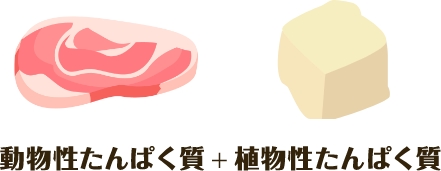 動物性たんぱく質+植物性たんぱく質